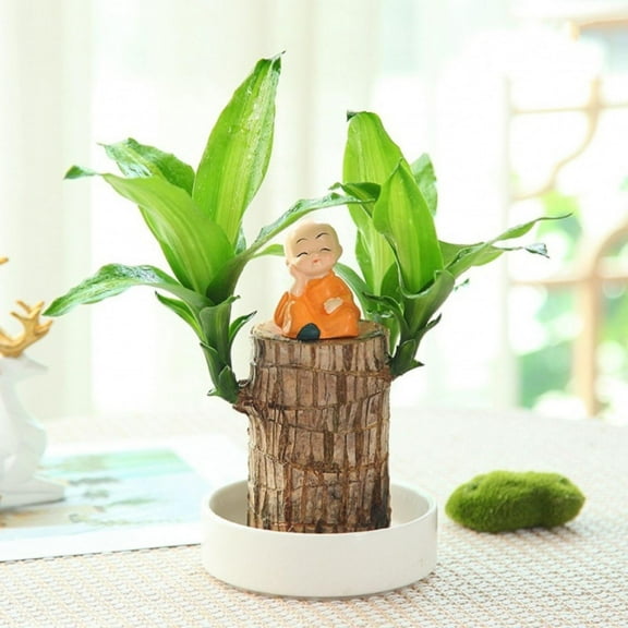 LYCAQL Brazilian Wood Mini Brazilian Wood Lucky Wood 5cm High Brazilian Wood Kit Desktop Ornament Home Decoration Log + Monk Doll + Basin