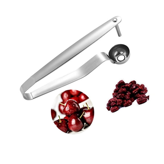 LYCAQL Cherry Pitter Tool, 2Pcs Stainless Steel Cherry Corer Pitter Portable Cherry Remover Pitting Tool for Kitchen, Small Pitter for Cherry, Hawthorn, Jujube, Red Date