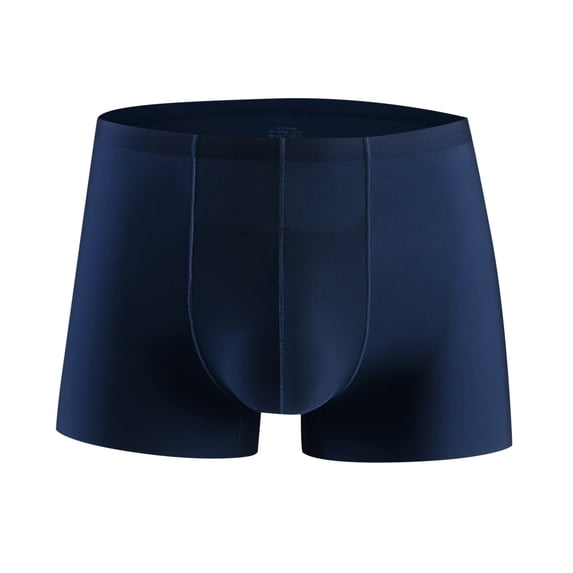 LYEAA Boxers Men Ice Silk Stretch Soft Breathable Trunks Solid Plus Seamless Loose Comfortable Athletic Underpants Cool Dry Elastic Waistband Fashion Support Pouch Underwear No fly Blue L