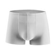 thumbnail image 1 of LYEAA Boxers Men Ice Silk Stretch Soft Breathable Trunks Solid Plus Seamless Loose Comfortable Athletic Underpants Cool Dry Elastic Waistband Fashion Support Pouch Underwear No fly Silver L, 1 of 2
