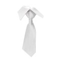 thumbnail image 1 of LYEAA Men's Ties for Shirts Satin Solid Self Tie Neckties Business Formal Men Neck Tie Party Wedding Prom Club Suit Neckwear Silver, 1 of 2