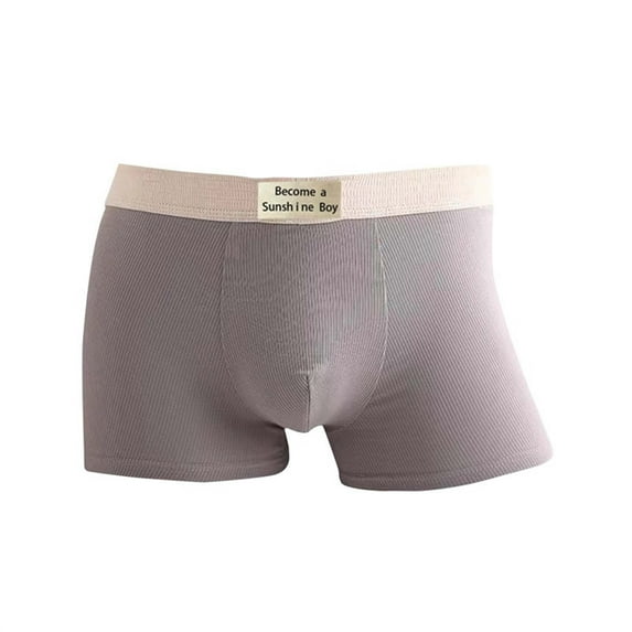LYEAA Mens Cotton Underwear with Pouch Soft Breathable Boxers Solid Plus Comfortable Underpants Elastic Waistband Fashion Briefs No fly Gray XL