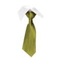 thumbnail image 1 of LYEAA Mens Ties Satin Solid Self Tie Neckties Business Formal Men Neck Tie Party Wedding Prom Club Suit Neckwear Green, 1 of 3