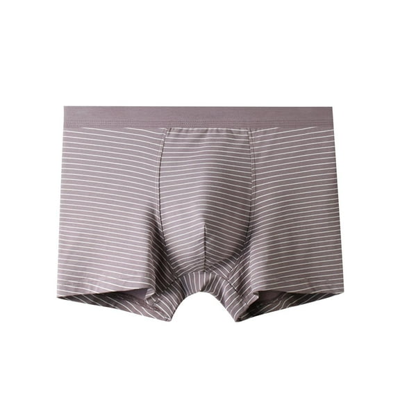 LYEAA Mens Underwear with Pouch Cotton Soft Breathable Boxers Striped Plus Comfortable Underpants Elastic Waistband Fashion Briefs No fly Brown 2XL