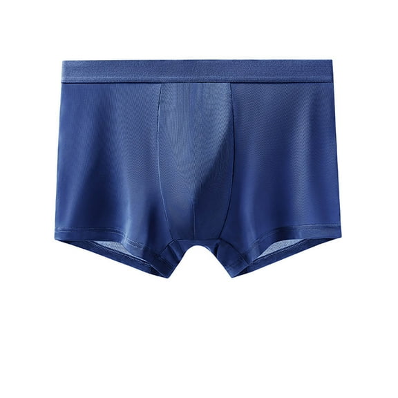 LYEAA Pouch Underwear for Men Dry Soft Breathable Boxers Solid Plus Comfortable Underpants Elastic Waistband Fashion Briefs No fly Blue L