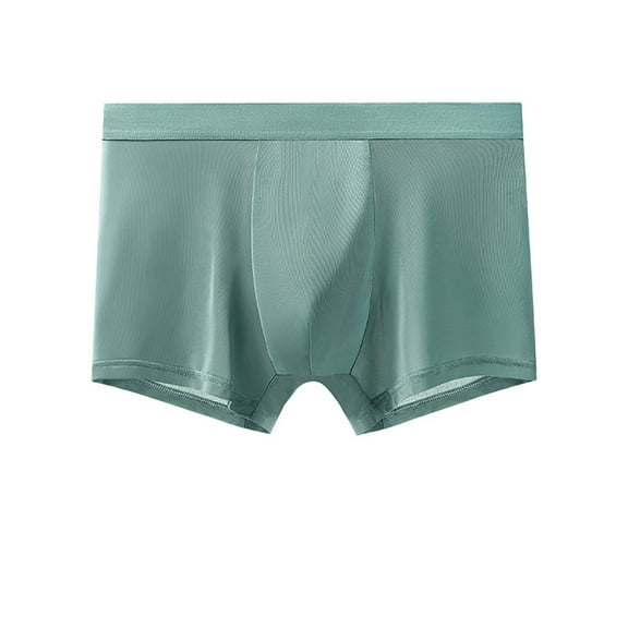 LYEAA Pouch Underwear for Men Dry Soft Breathable Boxers Solid Plus Comfortable Underpants Elastic Waistband Fashion Briefs No fly Green L