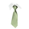 thumbnail image 1 of LYEAA Ties for Men Satin Solid Self Tie Neckties Business Formal Neck Tie Party Wedding Prom Club Suit Neckwear Green, 1 of 3