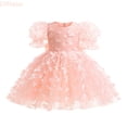 thumbnail image 1 of LYHaoo Child Girls Summer Puff Sleeves Tulle Dress Butterfly Pattern Bow Knot Princess Dress Gown Dress,Vintage Girls Dress Sizes 18-24 Months Pink, 1 of 7