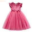 thumbnail image 1 of LYHaoo Toddler Girls Fly Sleeves Prints Embroidery Bowknot Dress Dance Party Dresses Clothes,Girls Floral Dresses Sizes 12-18 Months Pink, 1 of 6