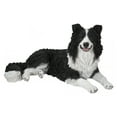 thumbnail image 1 of LYING BORDER COLLIE, 1 of 3