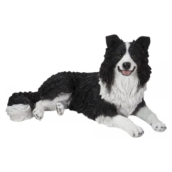 LYING BORDER COLLIE