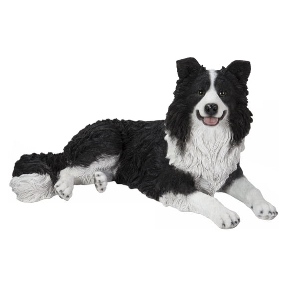 LYING BORDER COLLIE