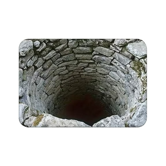 LYINGF 1-Piece 3D Optical Illusion Door Mat, Country Farmhouse Well Pattern, Absorbent and Cushioned for Front Entryway, Durable Indoor/Outdoor Use