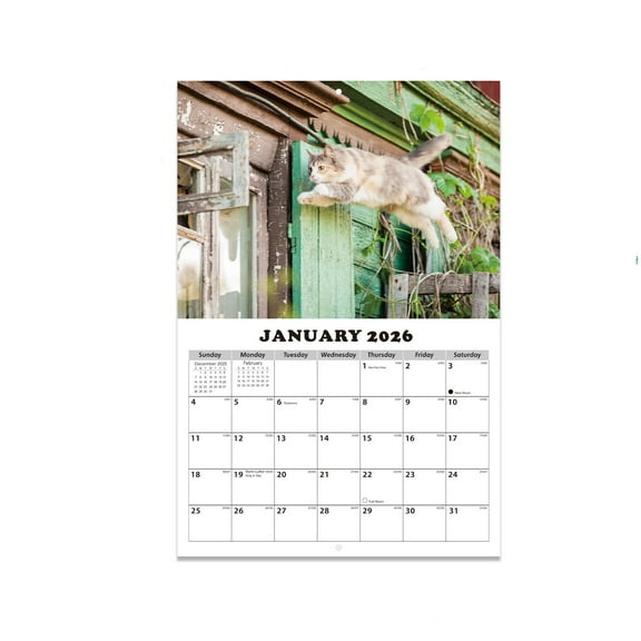 LYINGF Adorable Cat-Themed Wall Calendar with High-Definition Feline Illustrations, 12-Month Large Format Featuring Cute Kitten Photos, Thick Paper Quality Perfect for Home or Office