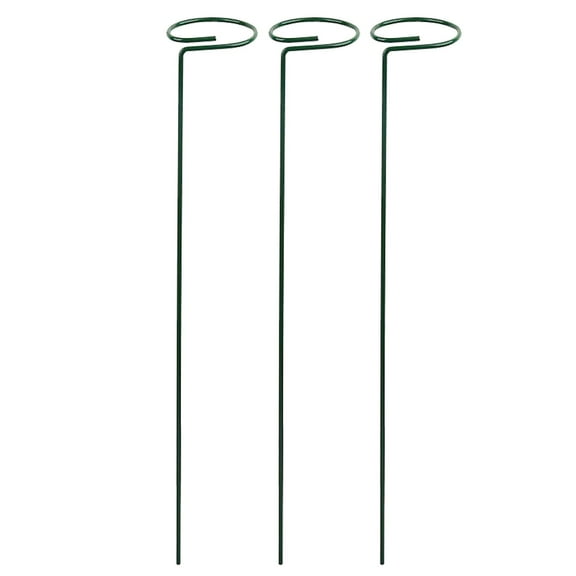 LYINGF Plant Support Stakes and Single Flower Stem Cages, Dark Green Garden Plant Supports for Amaryllis, Orchid, Lily, Peony, and Rose, Sturdy Design for Upright Growth and Bloom Health