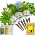 thumbnail image 1 of LYKO Herb Seeds Pod Kit for AeroGarden, idoo, 3-pods (350 Seeds+, Include Basil, Parsley, Mint, Cilantro, Shiso, Liquorice), 1 of 7
