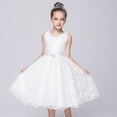 thumbnail image 1 of LYMAYTER Flower Girl Summer Dresses Kids Toddler Sleeveless Lace Princess Dress Fluffy Wedding Party Gown for 2-12 T, 1 of 9