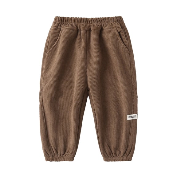 LYMAYTER Kids Boys Pants Baby Thickened Corduroy Trousers Toddler Elastic Waist Casual Pants for 2-8 Years