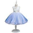 thumbnail image 1 of LYMAYTER Kids Toddler Girls Sweet Princess Dresses Baby Wedding Tulle Evening Dress Girls Printed Party Gown for 2-10 Years, 1 of 9