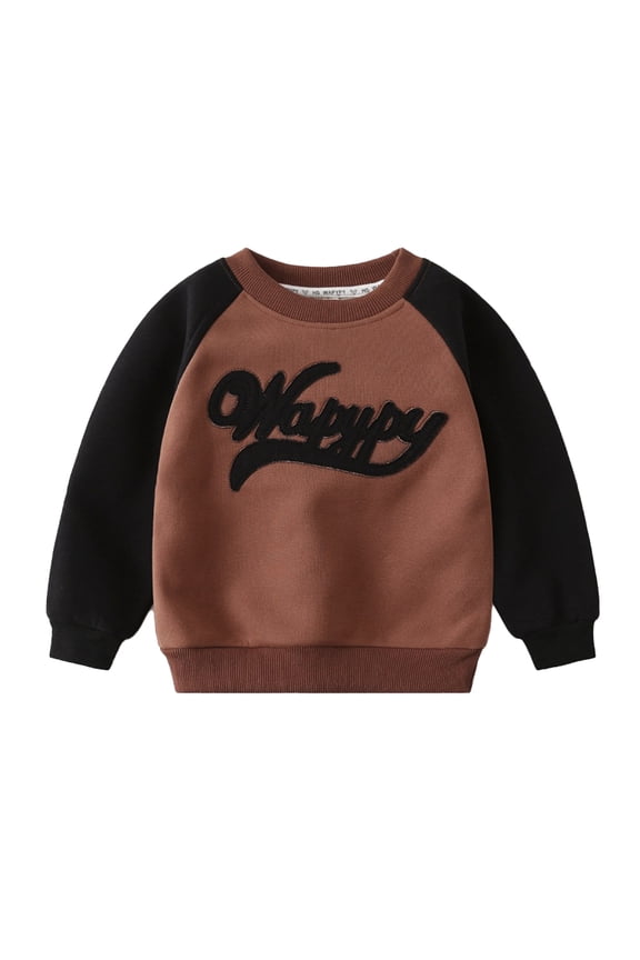 Little Boys Sweater for Kids Baby Thickened Knit Tops Toddler Embroidered Printed Jumper 2-8 Years