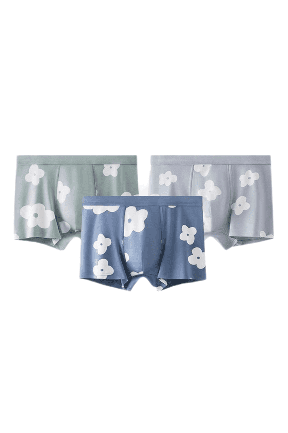 Men's Boxer Briefs Ultra Soft Micro Modal Support Pouch Trunks Underwear Moisture Wicking Briefs 1Pack
