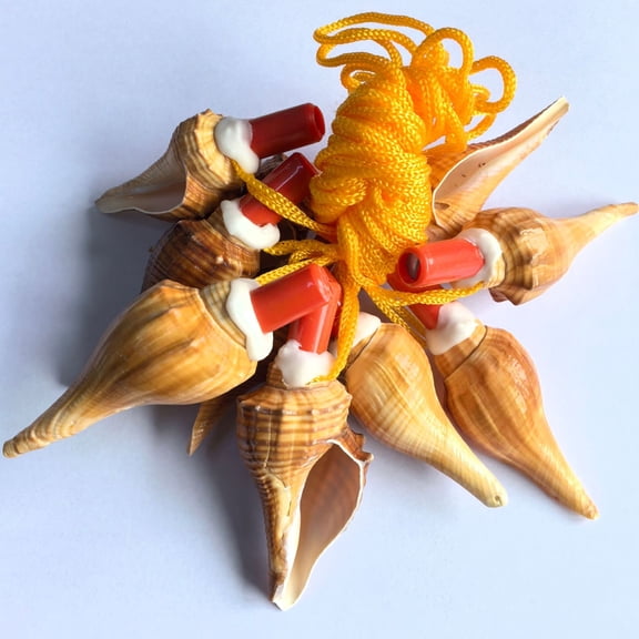 WEUVEB 10Pcs Loud Conch Whistle Multi Shell Whistle For Adults Special Occasions