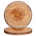 thumbnail image 1 of WEUVEB Rustic Wood Grain Paper Plates for Thanksgiving, Brown Disposable Plates, 16 Count Family Pack, 1 of 8