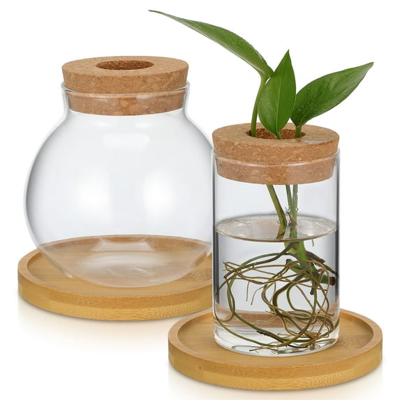 LYTMENT 2 Pcs Hydroponic Plant Vase Propagation Station Glass Terrarium With Lid Glass Vase For Indoor Plants For Office Room Decoration