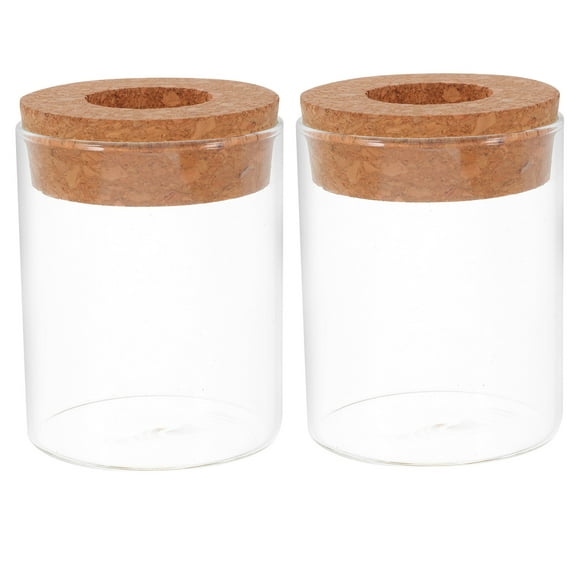 WEUVEB propagation vases Hydroponic Plant Vase Glass Indoor Use 2pcs