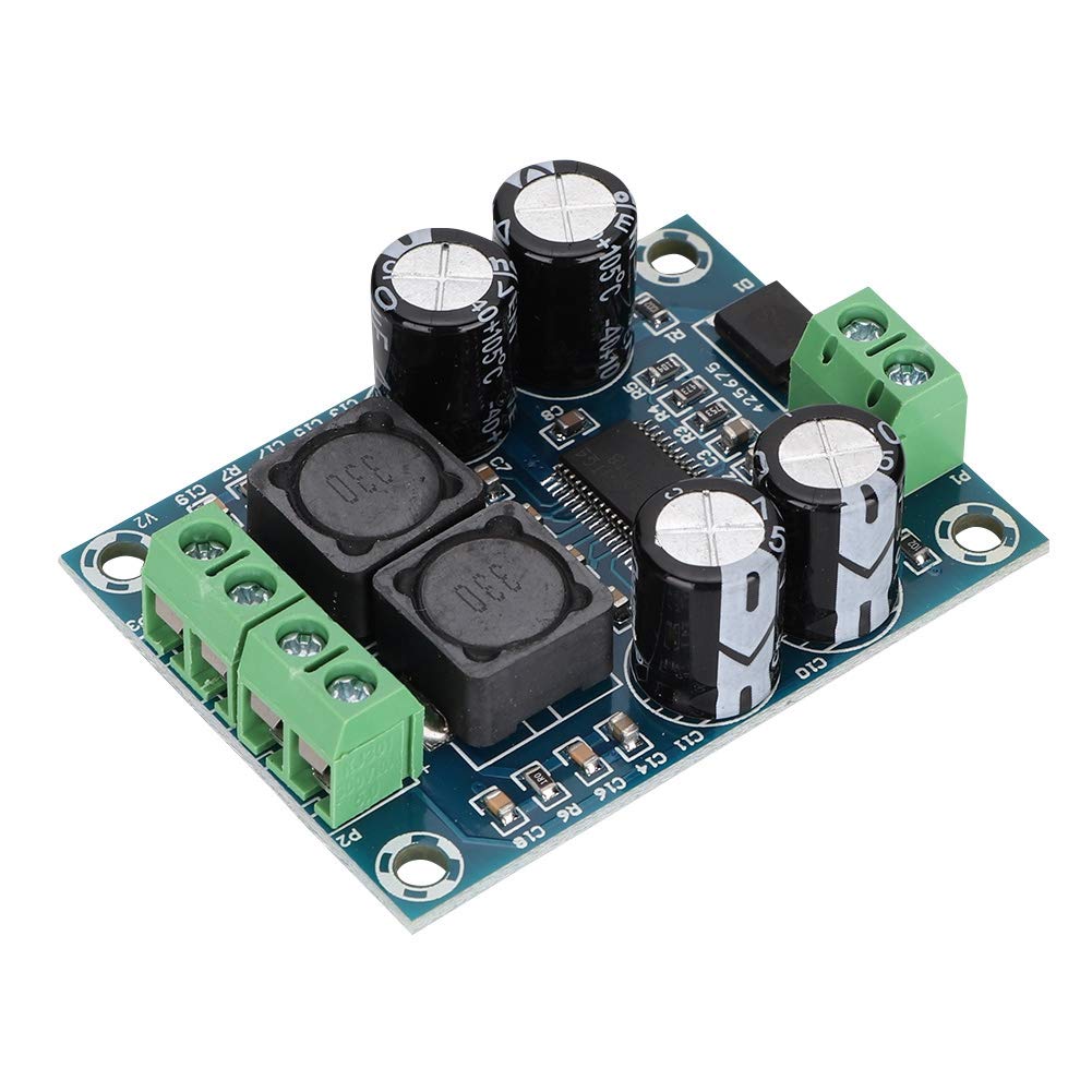LYUXHM311 Mini TPA3118 Mono 60W Digital Audio Amplifier DC1024V
