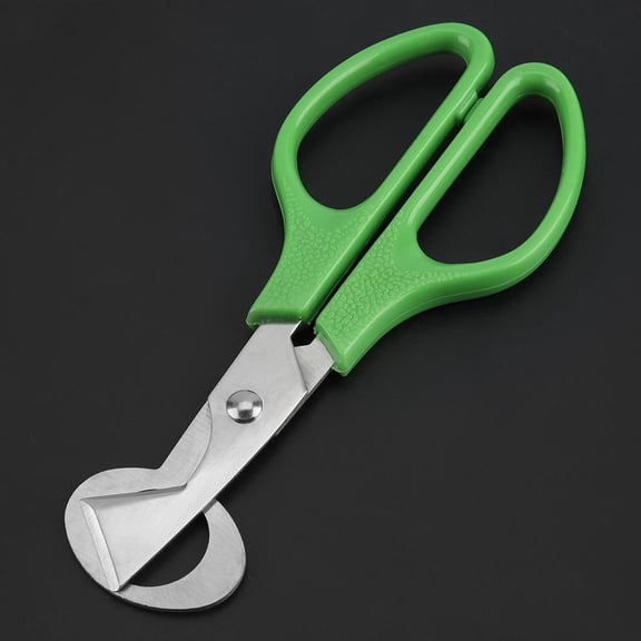 Egg Opener,Portable Anti-rust Quail Egg Scissors Cutter Opener Kitchen Tool Eggs Clipper , Egg Cutter