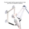 thumbnail image 1 of LYUMO Portable Parrots Birds Perch with Suction Cups Window Shower Bath Wall Plastic Standing Toy, Parrot Perches, Shower Perch, 1 of 8