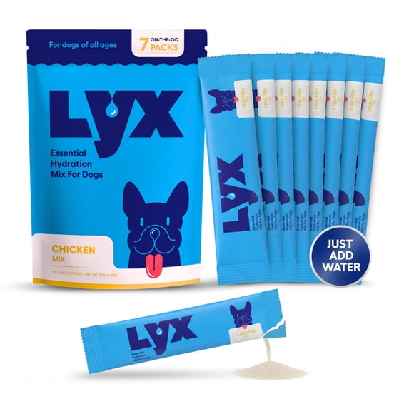 LYX Essential Hydration for Dogs – Electrolyte & Nutrient Water Enhancer for Active & Senior Dogs – Supports Hydration, Recovery & Wellness – Travel-Friendly Supplement Packets – 7 Count (Chicken)