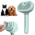 thumbnail image 1 of LZCKDPX Pet Spray Hair Removal Comb, 3 in 1 Cat Steam Brush, Pet for Dog Long Short Haired, Spray Hair Removal Comb for Small Animals Shedding Grooming (Green),Green, 1 of 9