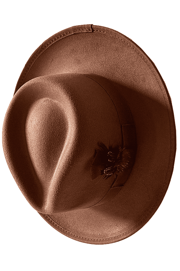 Classic Fedora Hats for Men Women Panama Felt Hat Festivals Fedora Hat with Feather
