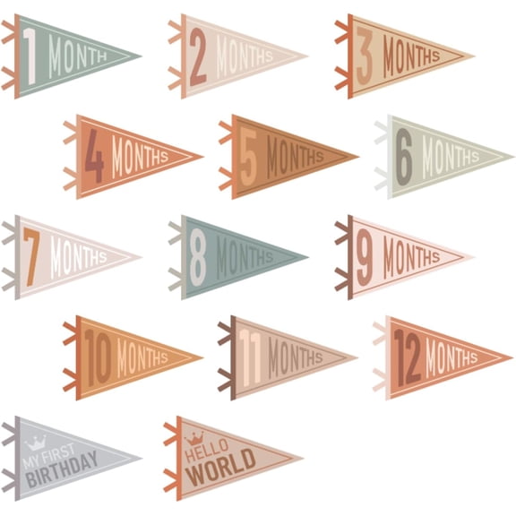 LZLINGMEI 14 Pcs Baby Felt Pennant Milestone Signs Monthly Milestone Banner Flags Pennant Triangle Banner Age Milestone Flag Signs for Boy Girl Newborn Birthday Party Decor(Assorted Colors)