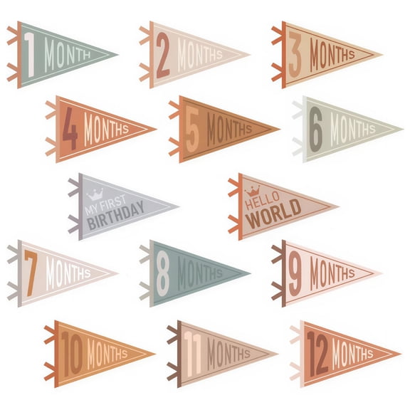 LZLINGMEI 14 Pcs Baby Felt Pennant Milestone Signs Monthly Milestone Banner Flags Pennant Triangle Banner Age Milestone Flag Signs for Boy Girl Newborn Birthday Party Decor(Assorted Colors)