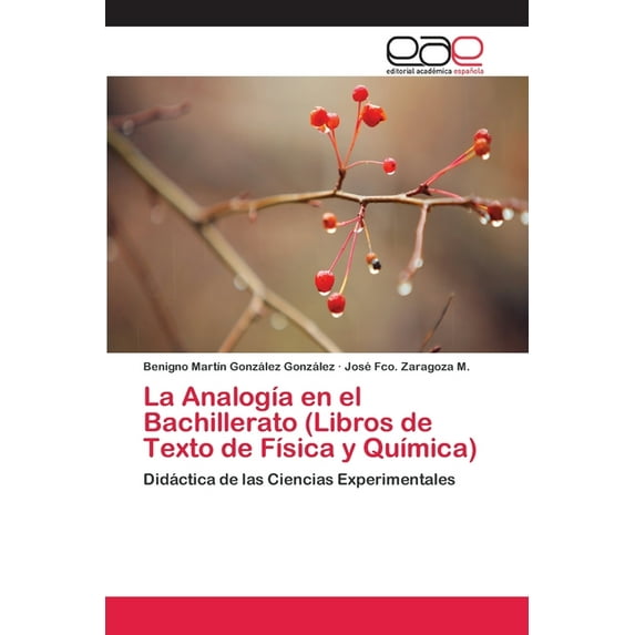 La Analogía en el Bachillerato (Libros de Texto de Física y Química) (Paperback)