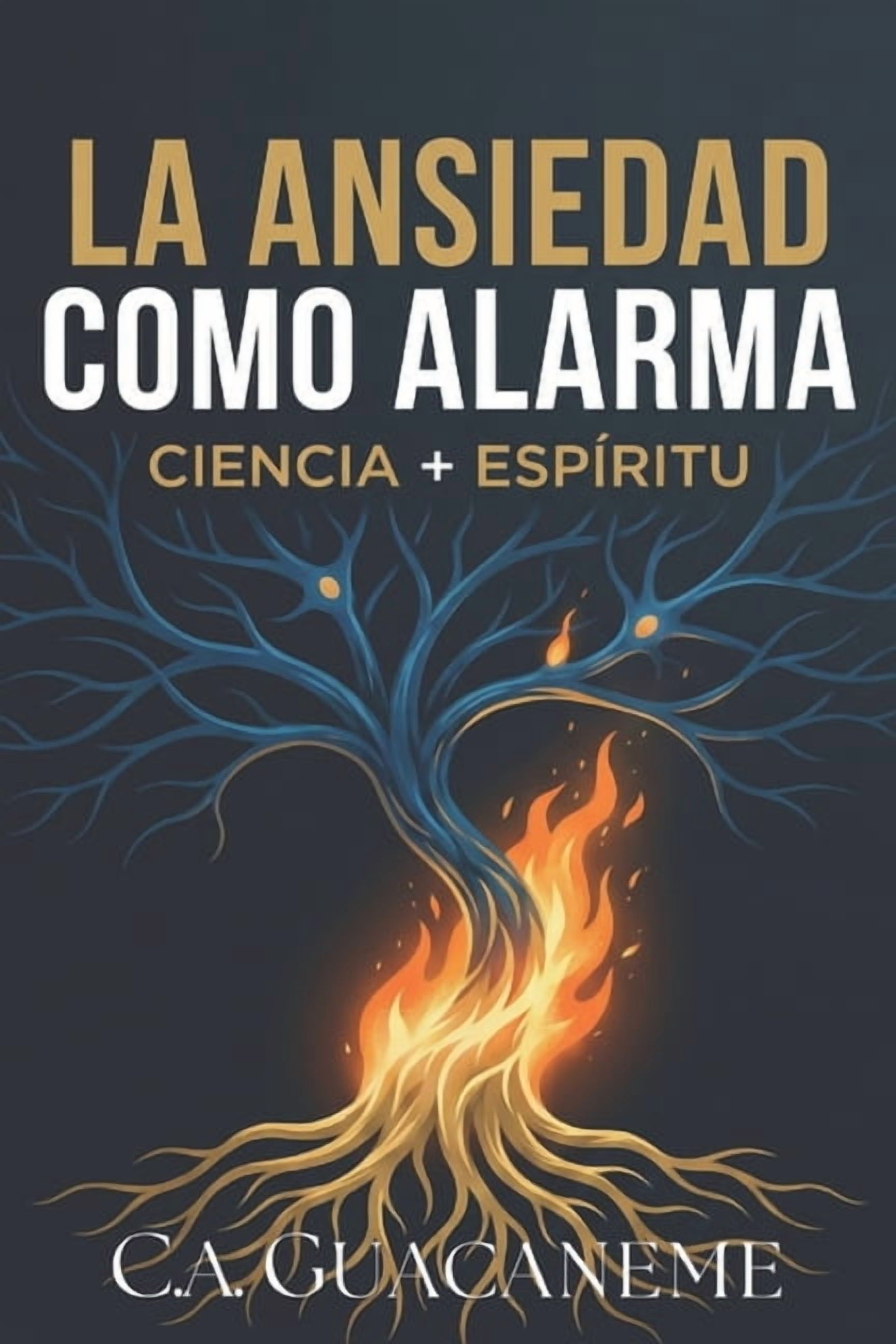 NeuroteologÃ­a del Sistema Nervioso La Ansiedad como Alarma: Decodificando las SeÃ±ales del EspÃ­ritu en su Cuerpo: Una GuÃ­a Neuro-TeolÃ³gica para Apagar el Mi, (Paperback)