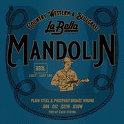 La Bella 2001 Medium Tension Silver Plated Wound Classical Guitar String - 029-0415