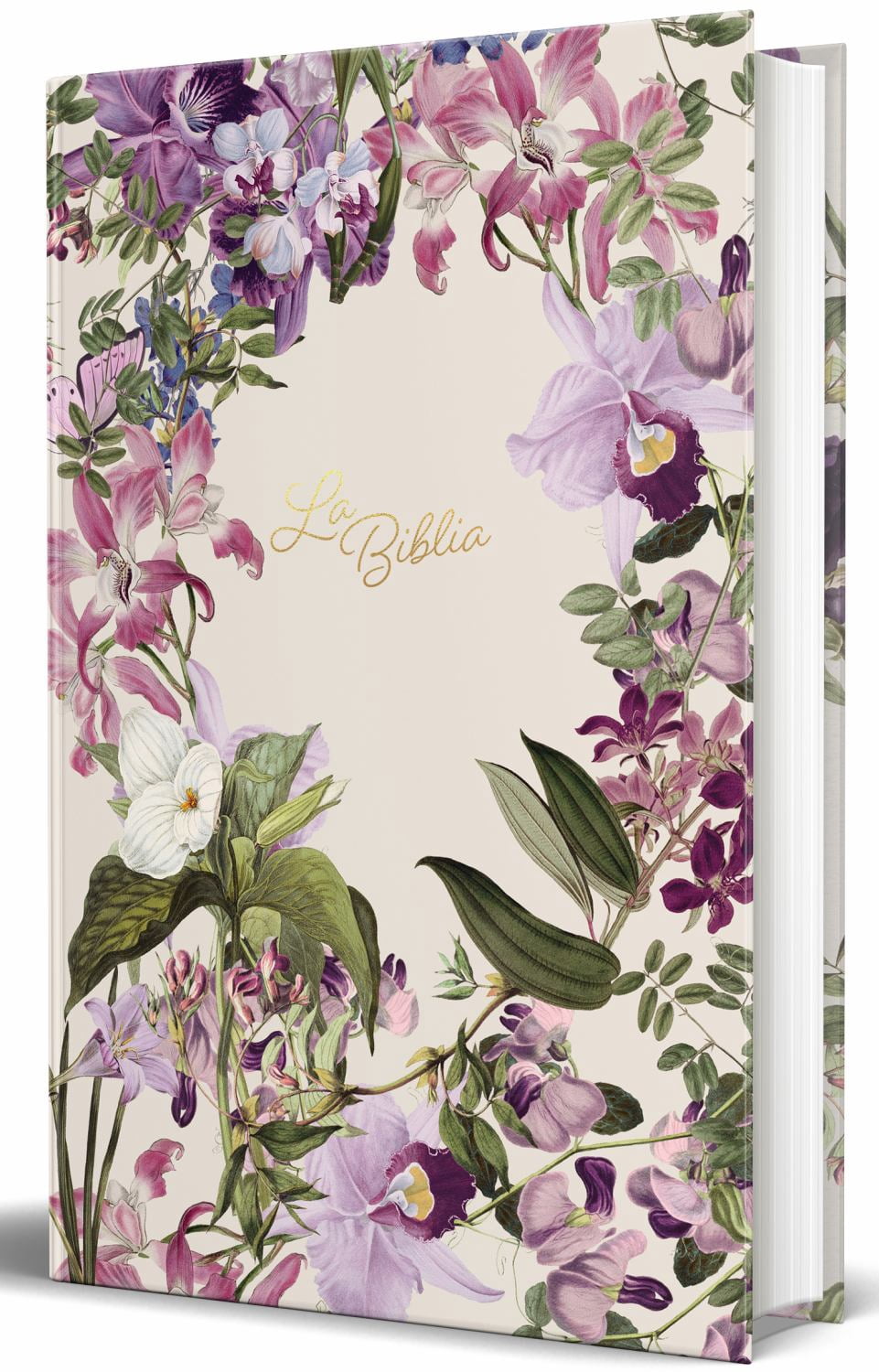 La Biblia Católica: Edición Letra Grande. Tapa Dura, Morada con Flores ...