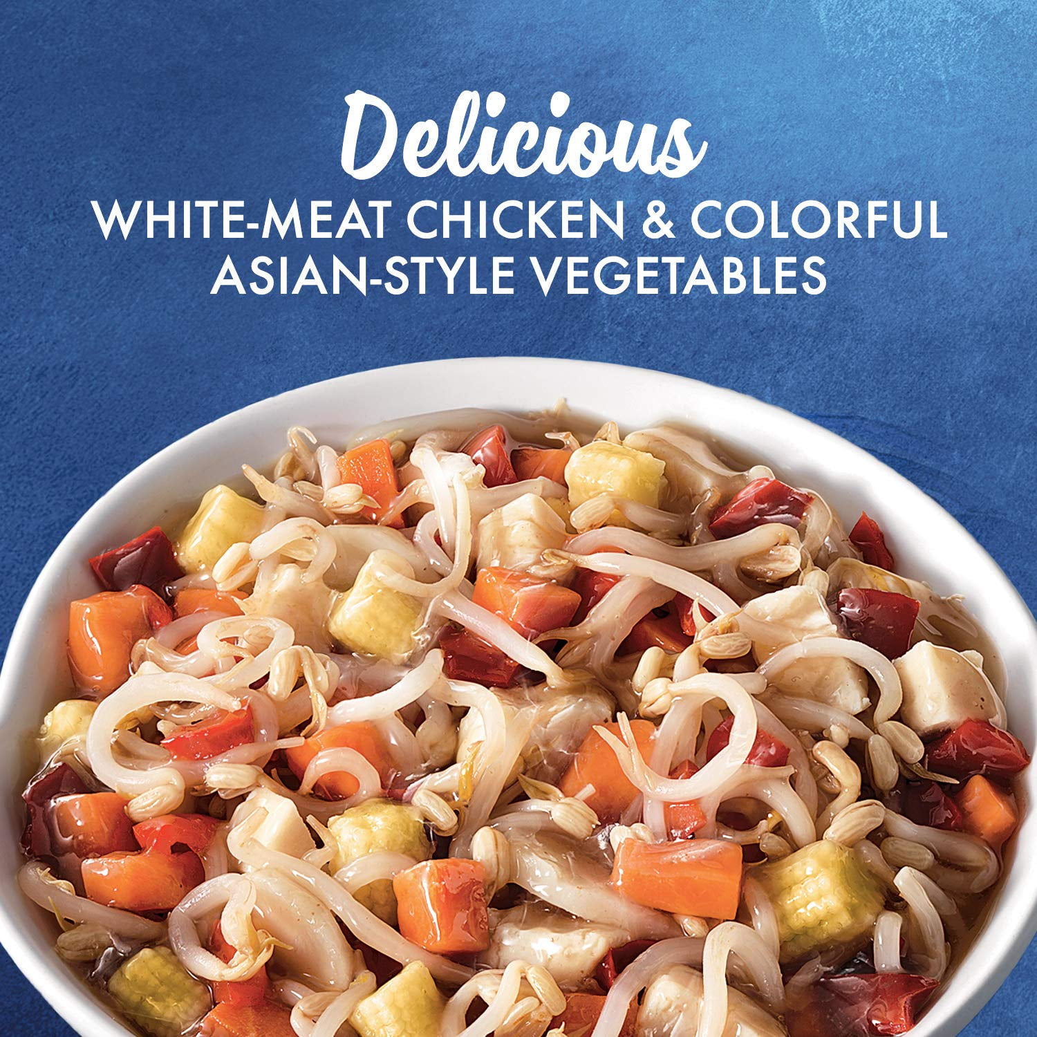 La Choy Chow Mein White Meat Sauce With AsianStyle Vegetables oz 2.62 pound pack , Chicken, 42 oz