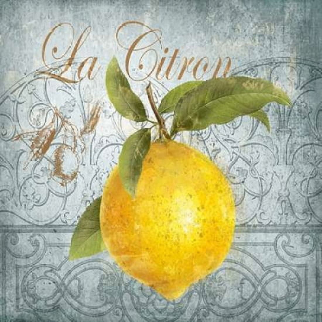 La Citron Canvas Art - Conrad Knutsen (24 x 24)