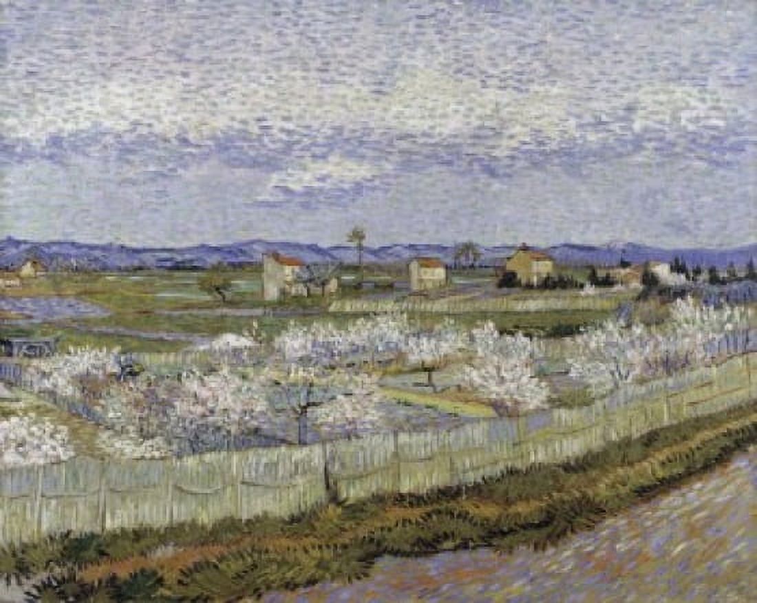 La Crau with Peach Trees in Bloom 1889 Vincent van Gogh (1853-1890Dutch) Oil on Canvas Courtauld Institute and Galleries London England Canvas Art - Vincent van Gogh (18 x 24)