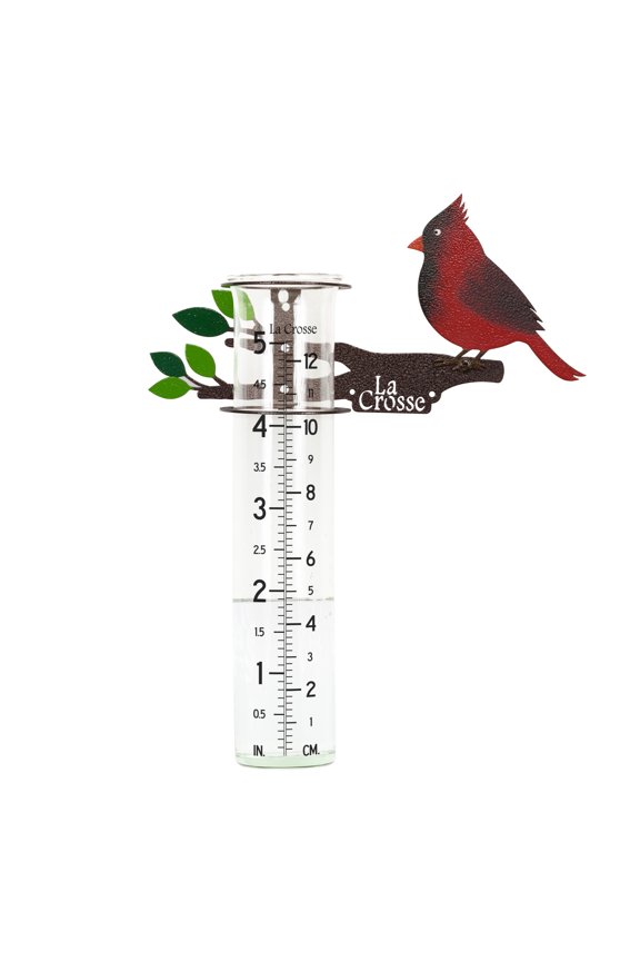 704-4612 5-inch Capacity Metal Cardinal Rain Gauge