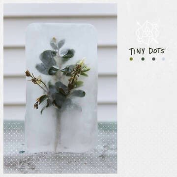 La Dispute - Tiny Dots LP clear vinyl