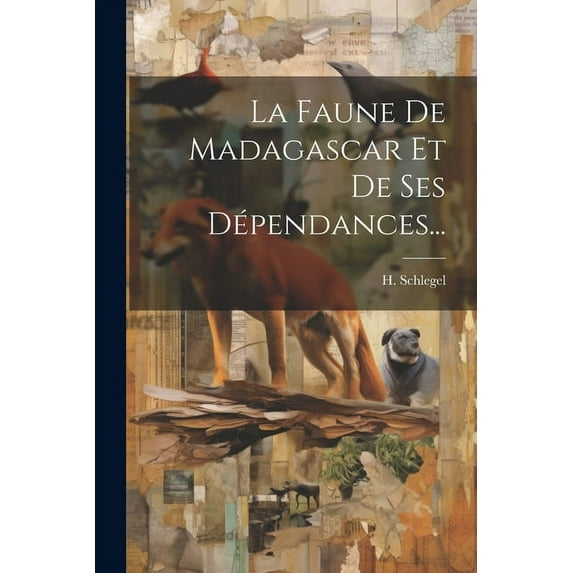 La Faune De Madagascar Et De Ses Dépendances... (Paperback)