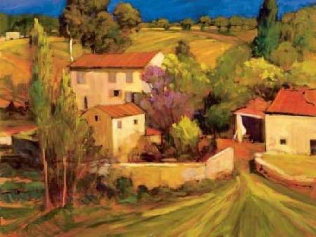 La Femme en Provence Canvas Art - Philip Craig (18 x 24)