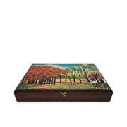 La Flama de Cuba Cuban Elegance Spanish Cedar Humidor   Premium Cigar Storage, Classic 25-Cigar Capacity