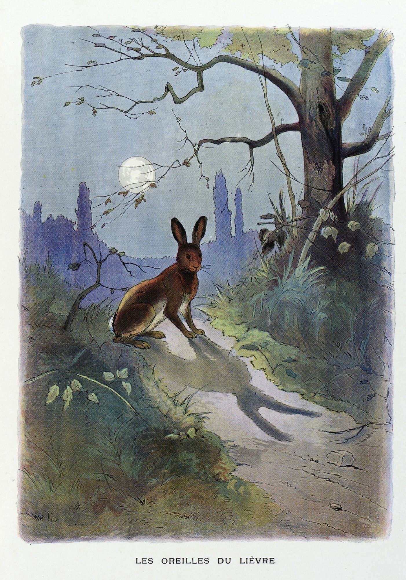La FontaineS Fables The Hare Afraid By His Ears Canvas Art - (18 x 24)